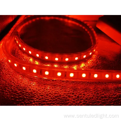 Factoiry Price Indoor Outdoor Decoration RGB Strip Light